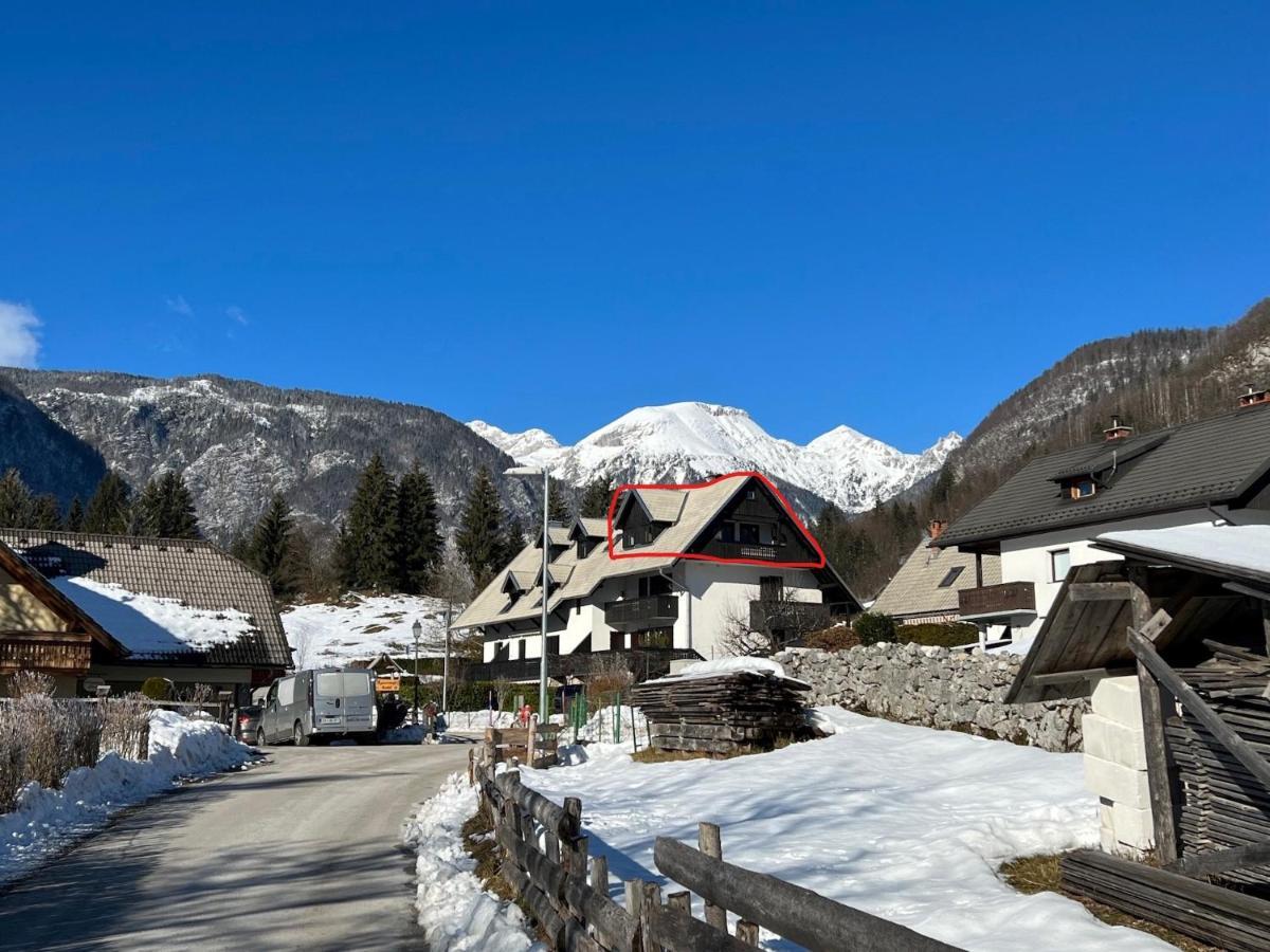 Appartement Gloria - Bohinj