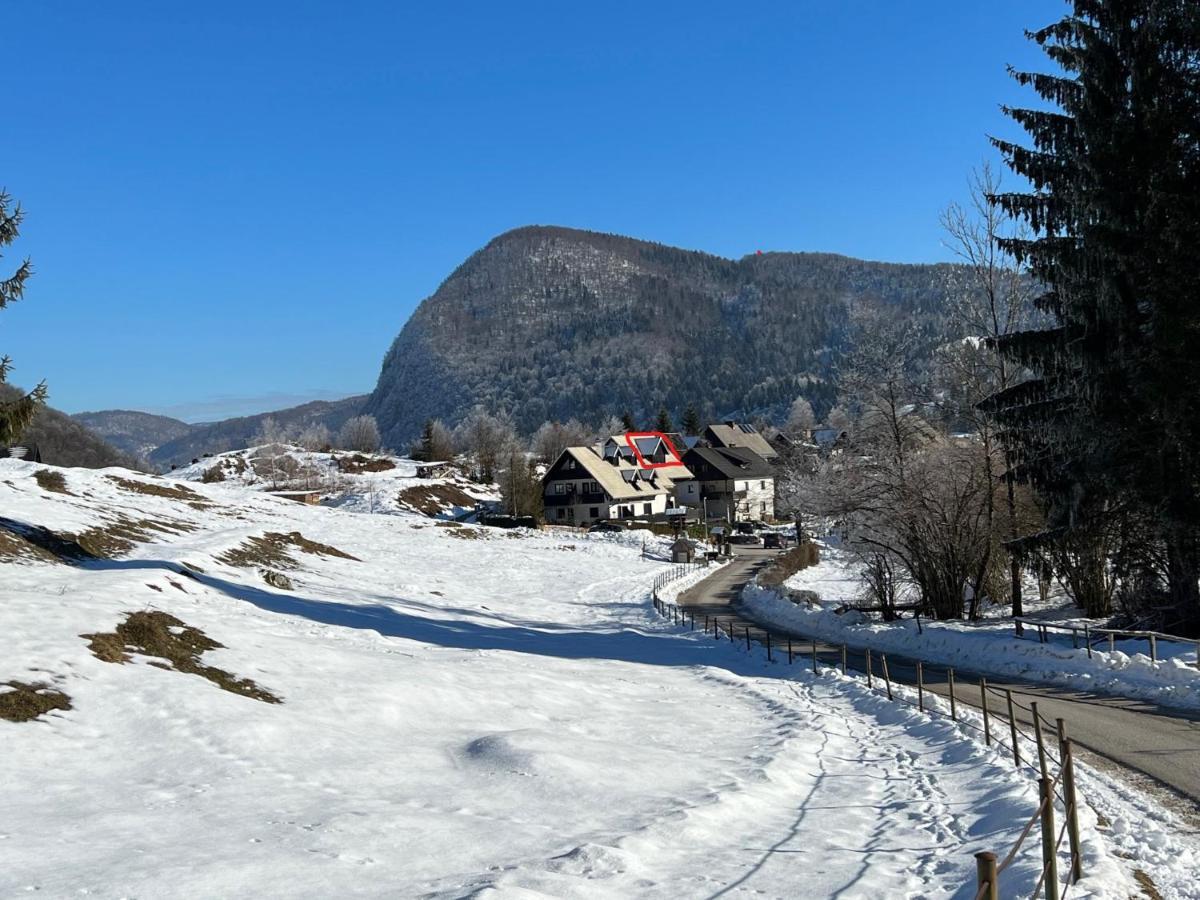 Appartement Gloria -